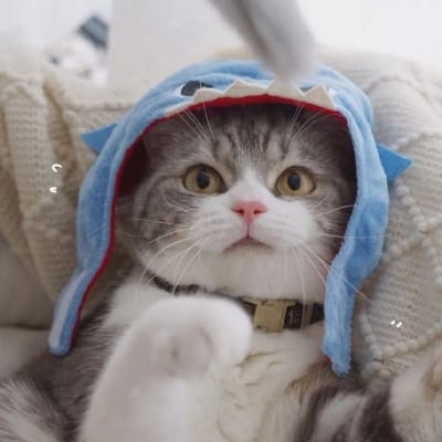 Indra Gunawan avatar