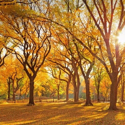 Hendra Wijaya avatar