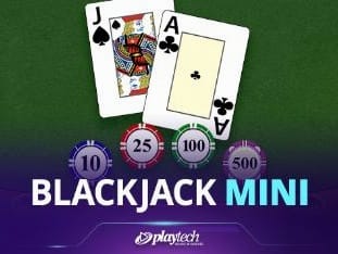 Blackjack Mini screenshot